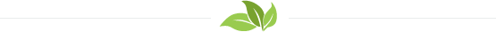 small_divider